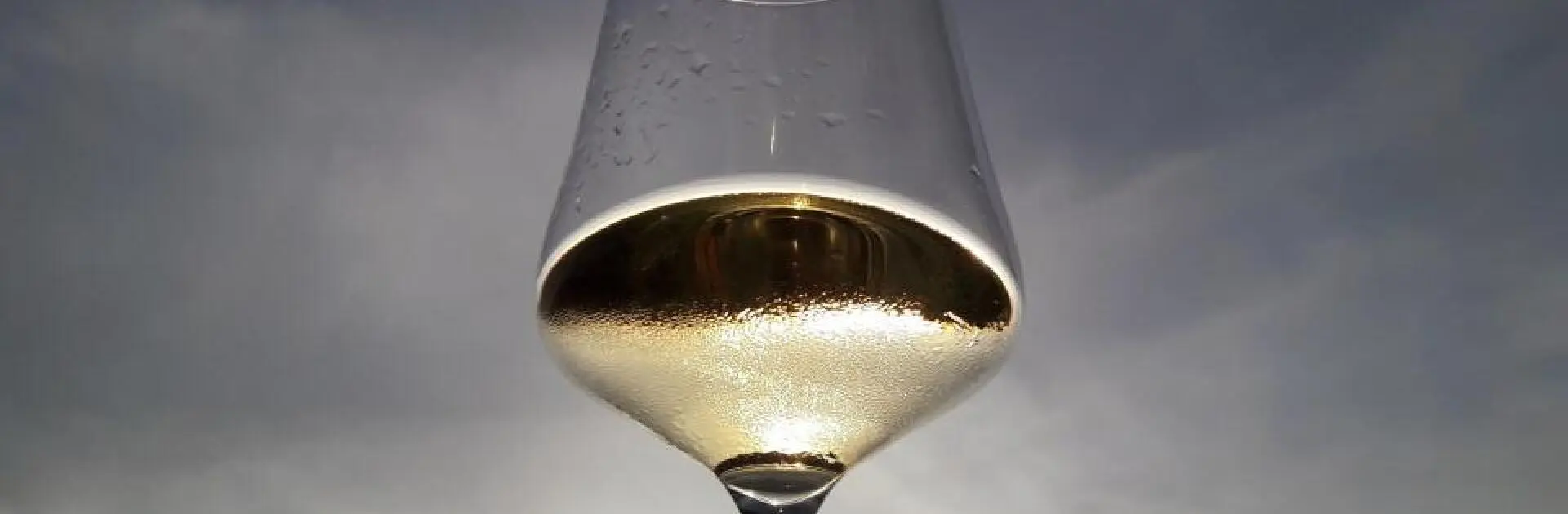 gekuehlte Weine klein